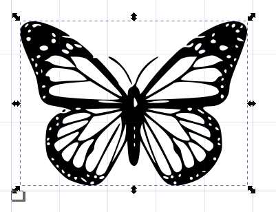 Choisir les nouvelles dimensions de mon image de papillon sous Inkscape