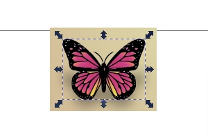 Un papillon sous Inkscape